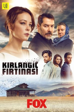 Kırlangıç Fırtınası